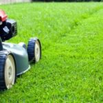 Cum să udăm corect gazonul în timpul verii?