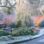 Cum pregătim grădina pentru iarnă? 10 sfaturi practice!